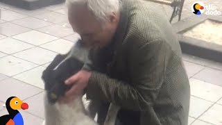 Man Films Himself Reuniting With Dog After 3 Years Apart  The Dodo [upl. by Kazimir]