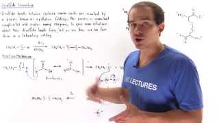 Disulfide Bond Formation [upl. by Coraline]