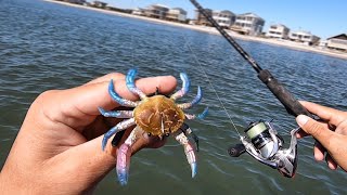 How To Rig amp Fish Artificial Crabs  NONSTOP Action On BIG Fish wCut Blue Crabs [upl. by Acilgna]