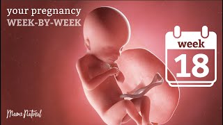 18 Weeks Pregnant  Natural Pregnancy WeekByWeek [upl. by Roanna192]