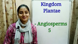 SubDivision Angiosperms  Biological classification part9  Class XI  Lecture 37 [upl. by Noremac]