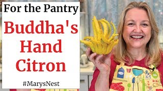 Candied quotBuddhas Handquot Citron  How to Candy Citrus  Candied Citron [upl. by Aihsercal]