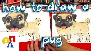 How To Draw A Pug [upl. by Aniram865]