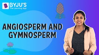 Difference Between Angiosperms And Gymnosperms [upl. by Krissy]