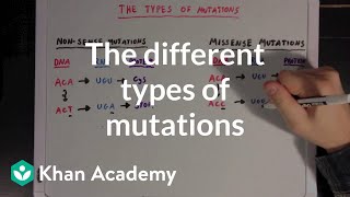 The different types of mutations  Biomolecules  MCAT  Khan Academy [upl. by Amata672]