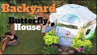 A Butterfly House in your own backyard video [upl. by Annaitat]