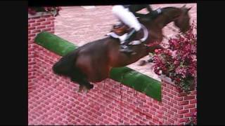 Puissance WIHS  Horse jumps 7 foot wall [upl. by Ruhtua402]