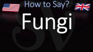 How to Pronounce Fungi [upl. by Landel]