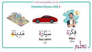 Beginners Arabic  Lesson 12  Nouns  Gender [upl. by Haim]